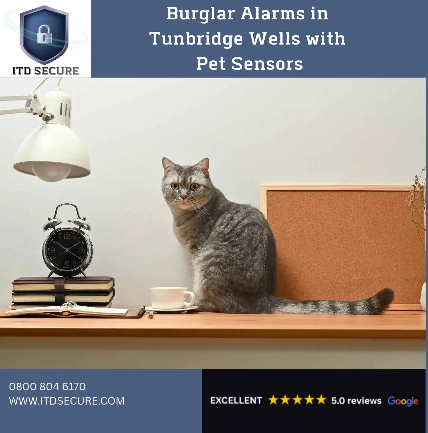 Grey cat sitting on work surface next to a lamp indicating how pet sensors on burglar alarms in Tunbridge Wells by ITD Secure are essential for pet owners to prevent false alarms.